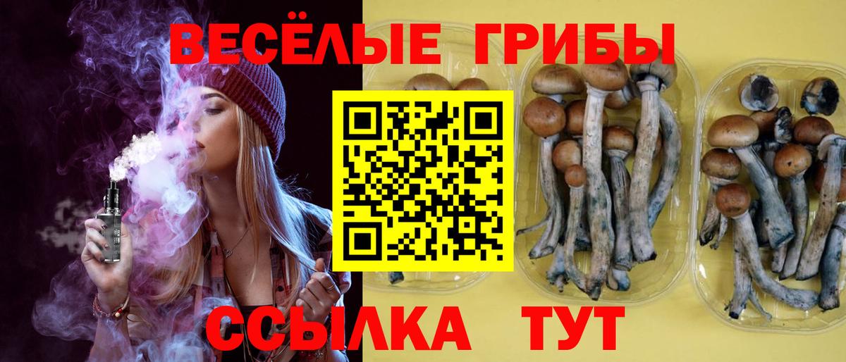Псилоцибиновые грибы Psilocybine cubensis Мытищи